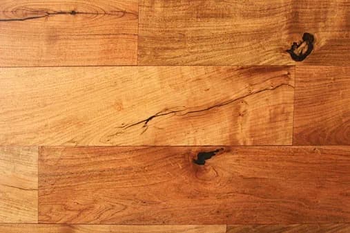 Local Mesquite — detail 2