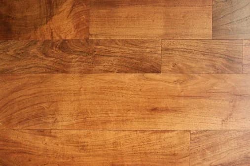 Local Mesquite — detail 3