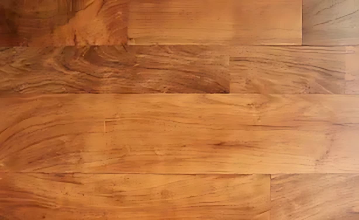 Local Mesquite