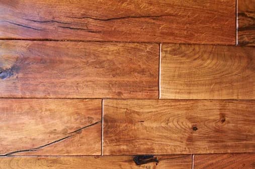Local Mesquite — detail 4