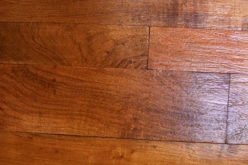 Local Mesquite — detail 5
